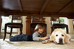 indoor air quality